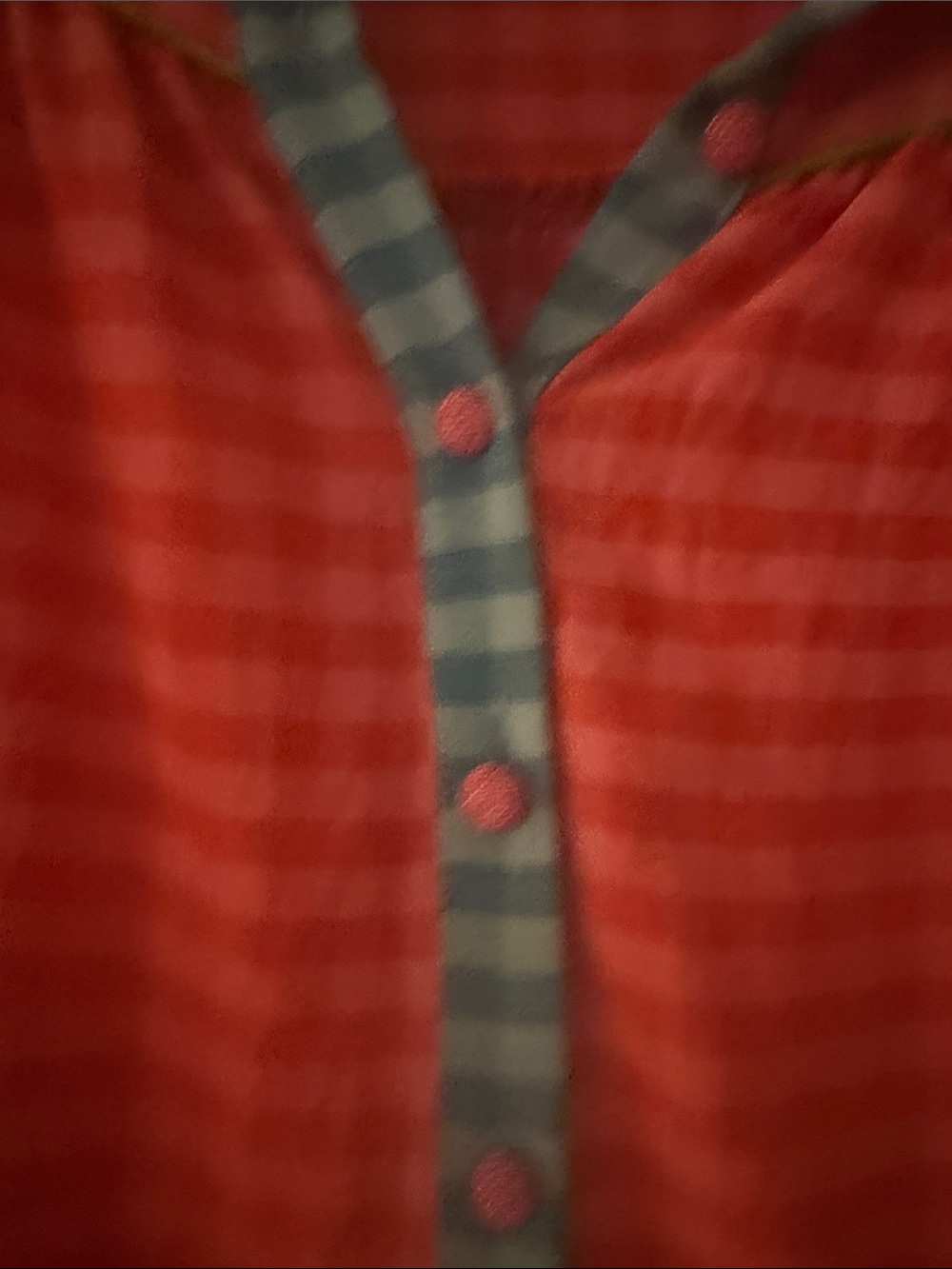 Pink Check Button-Front Top with Blue Trim- Karlie - Picture 2 of 4